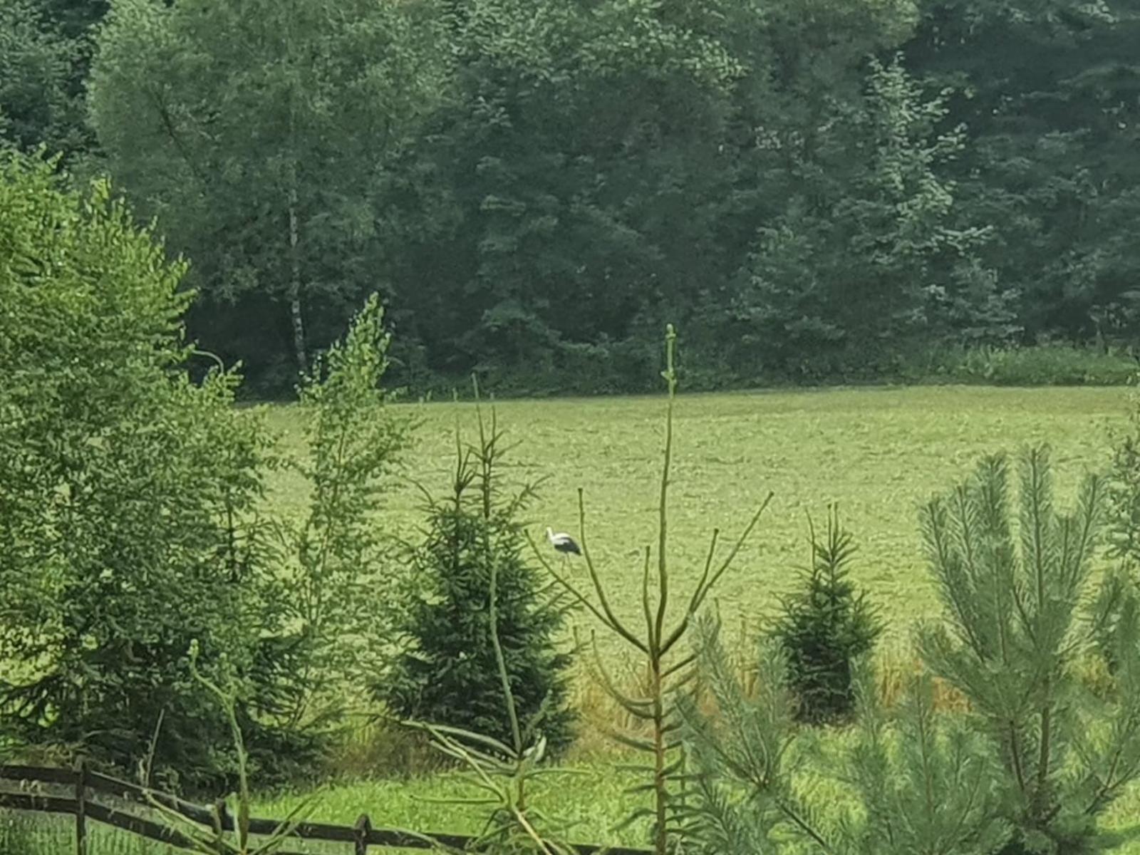 Prostřední Bečva Wellness-Beskydyヴィラ エクステリア 写真