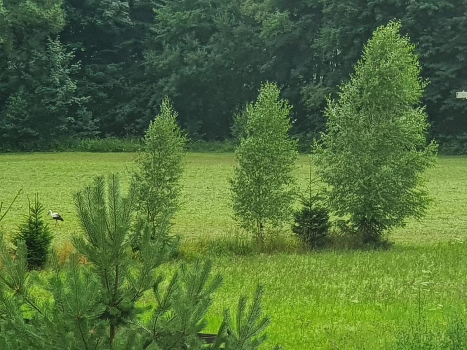 Prostřední Bečva Wellness-Beskydyヴィラ エクステリア 写真